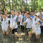 Gencarkan Aksi Konservasi, PMR & Junior Red Cross Tanam Mangrove, Tanam Harapan
